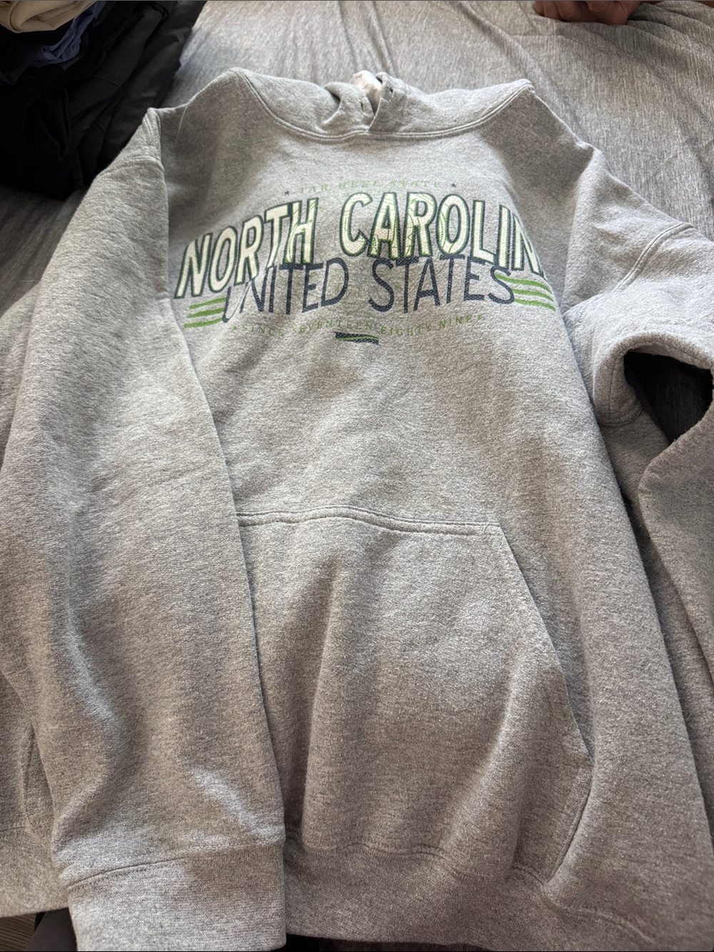 Gildan Gray Crewneck Sweatshirt with Green & Navy North Carolina Graphic